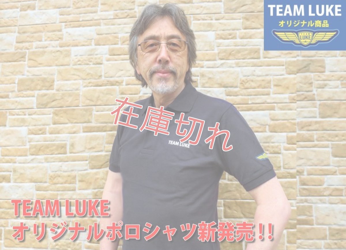 画像1: 【ページ移行しました】ページTEAM LUKE ポロシャツ 2022 (1)