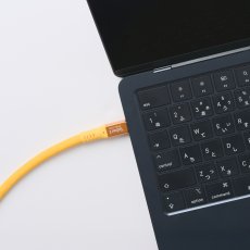 画像3: USB Type-C テザーPDケーブル『テザーワン』 5.5m (3)