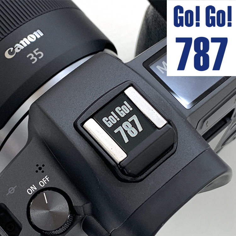 画像1: 【限定25個】航空写真家　岡本 豊氏とのコラボ企画" 金属製カメラシューカバー "Go! Go! 787シュー"  (1)